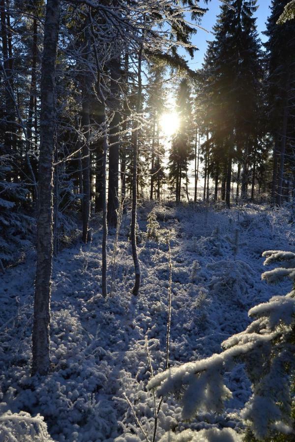 Hotel Kujanpaeae | Paajoen Vuokramoekit Himos Esterno foto